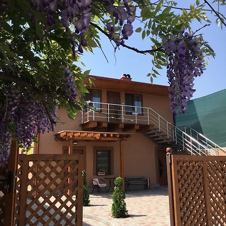 Holiday House Villa Berehove  Luaran gambar