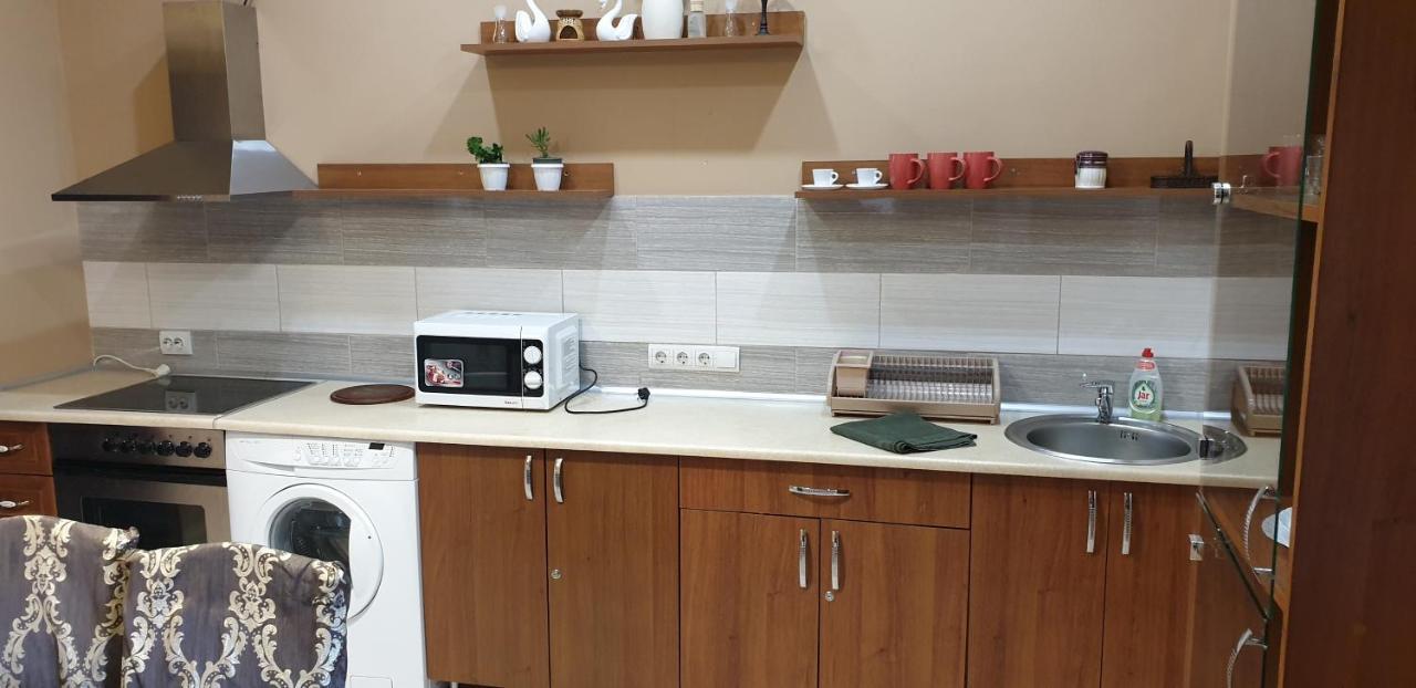 Holiday House Villa Berehove  Luaran gambar